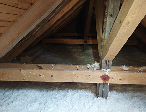 Zateplení stropu rodinného domu pomocí foukané izolace